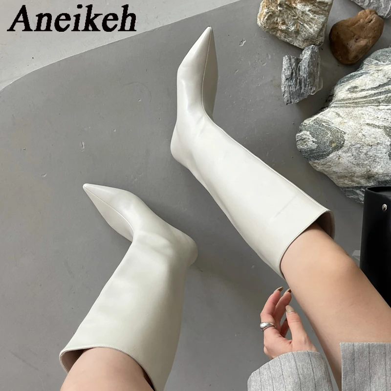 아네이케 2026 패션 섹시 포인티드 로우힐 니하이 롱 - Women'S Fashion Knee High Boots 리뷰 및 가격